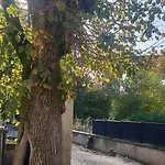 Matin De Saone 4* Fontaines-Saint-Martin
