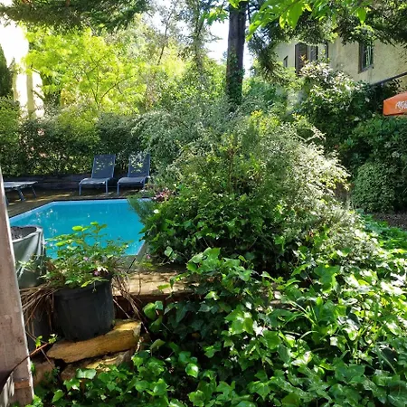 Matin De Saône