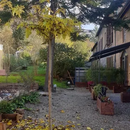 Matin De Saône Fontaines-Saint-Martin