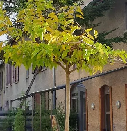 Casa de hóspedes Matin De Saône *