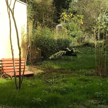 Matin De Saône
